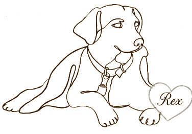 Rex, a Labrador, resting